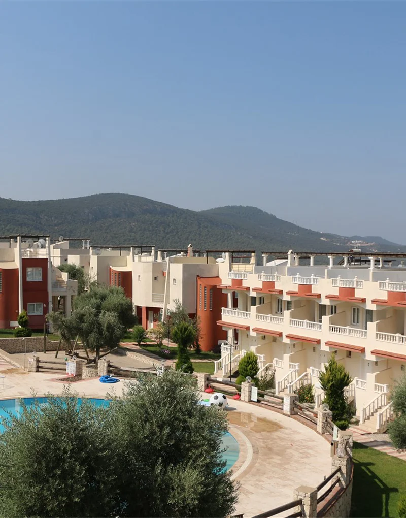 Olive Village